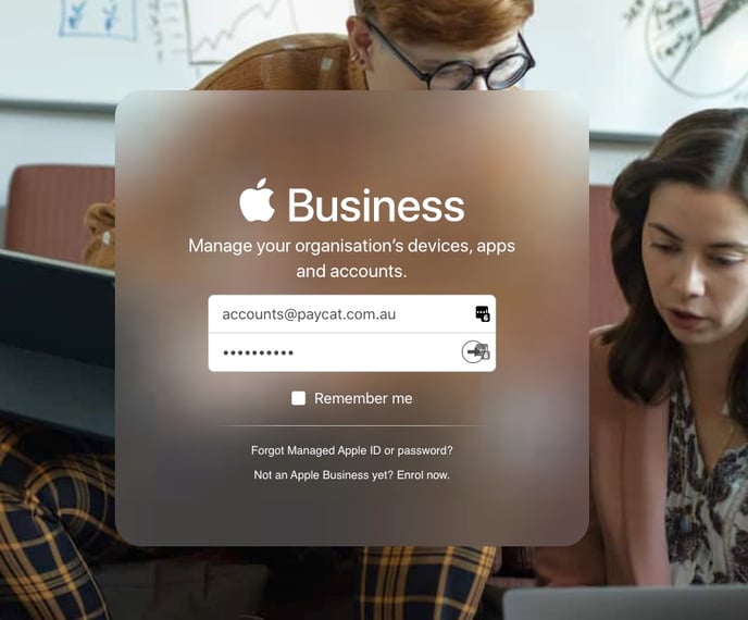 How do I add Pay Cat as a user in Apple Business Manager?